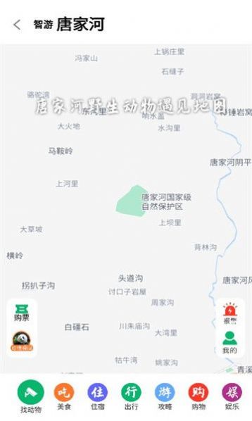 智游青川下载