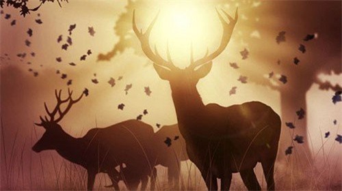 荒野大镖客救赎2下载