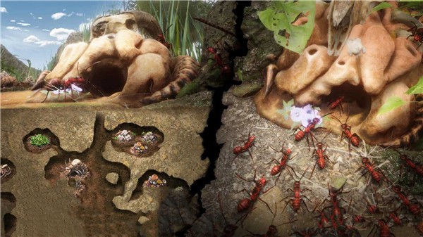 安卓小小蚁窝app