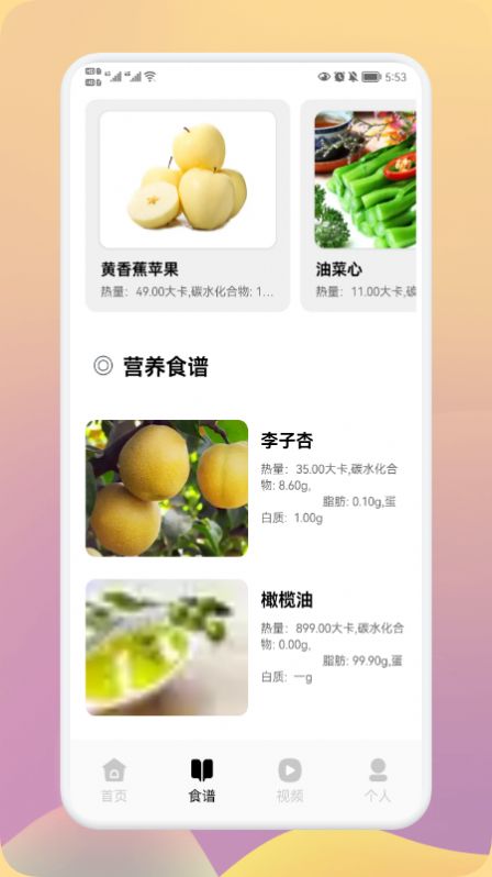 瘦身计划下载