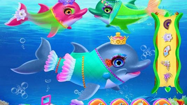 安卓海豚训练营软件下载