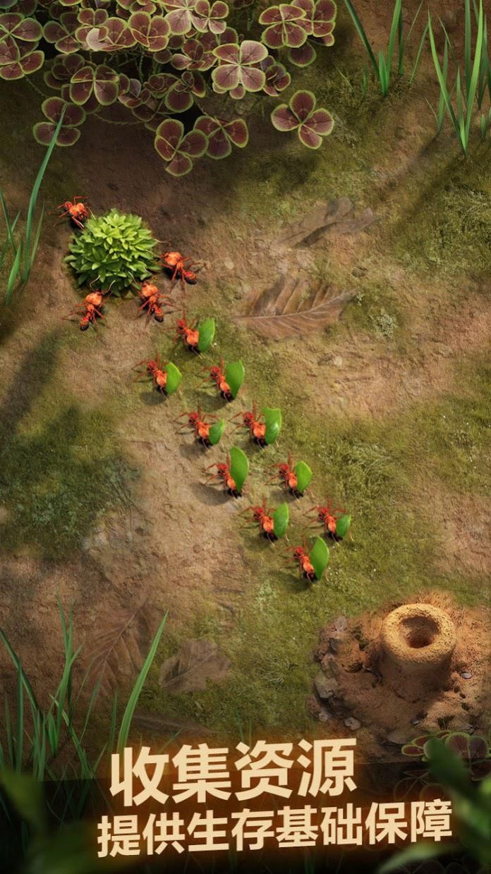 小小蚁国蚁族总动员下载