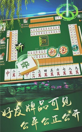 西瓜电玩城