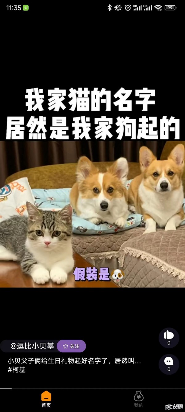 聚米宝下载