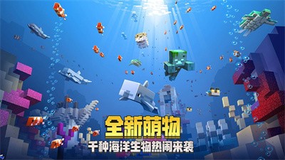 我的世界burberry联动