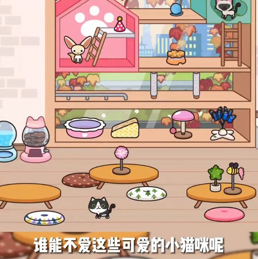 米加小镇猫咖馆