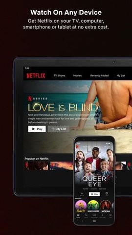 网飞netflix 2023最新版下载