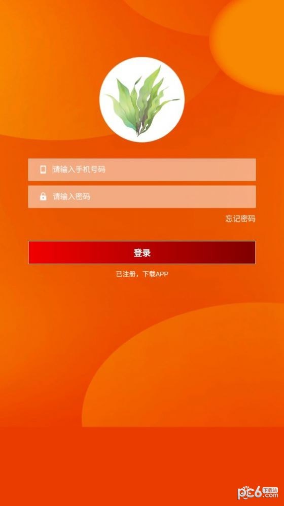 云大泽