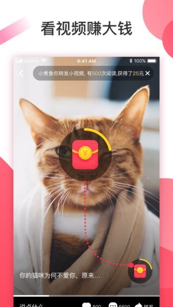 安卓桃花岛视频app