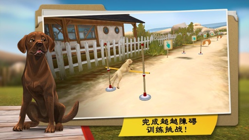 狗狗旅馆app下载
