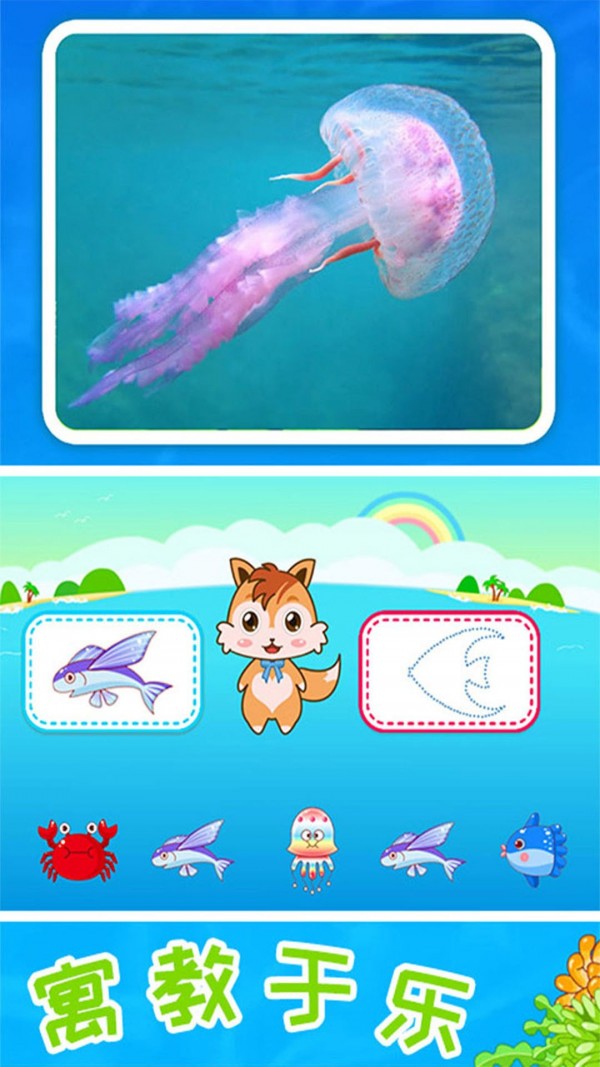 安卓儿童宝宝海洋世界app