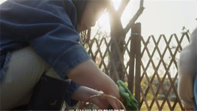 安卓小森生活正版软件下载