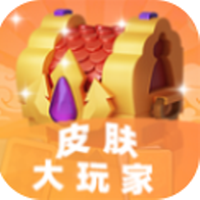 皮肤大玩家