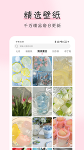 安卓浪漫樱花动态壁纸app