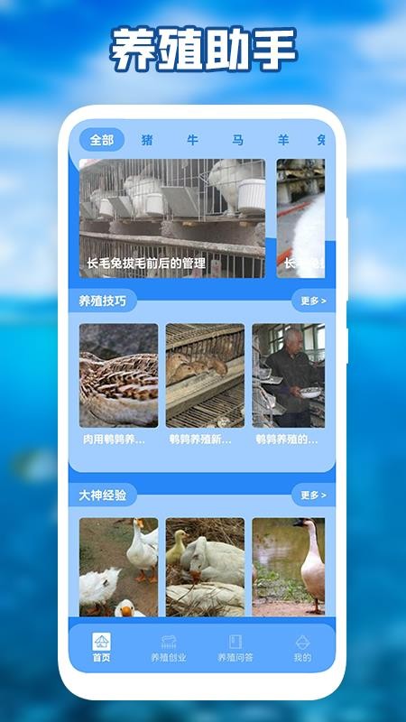 养猪场之星电子版