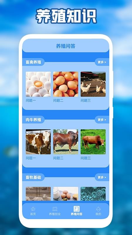安卓养猪场之星电子版app
