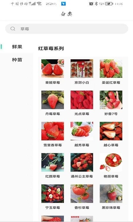 安卓泉水草莓app