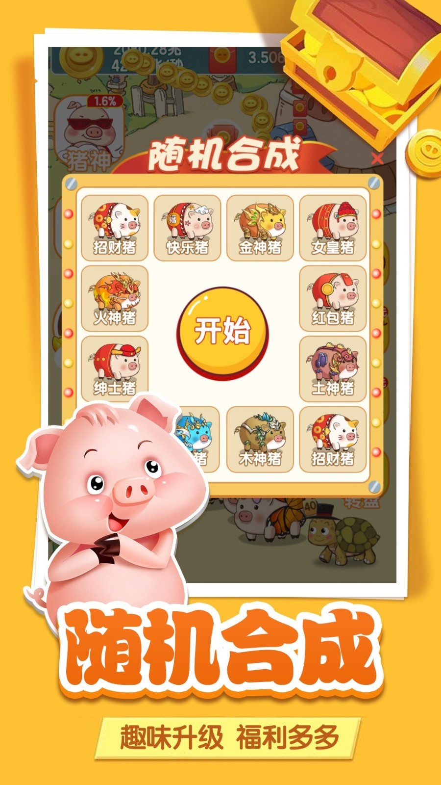 迷你猪猪
