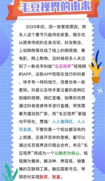 安卓毛豆视频app
