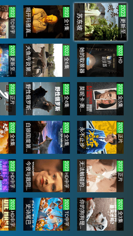 安卓黑枫tvapp