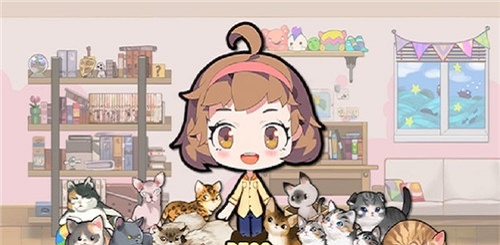 我的猫咪日记
