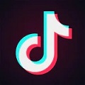 tiktok 抖音国外版 