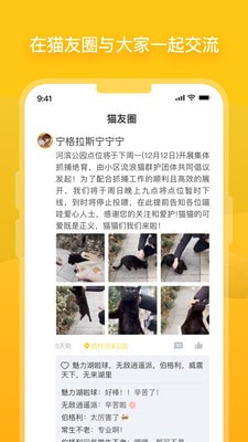 安卓哈啰街猫app
