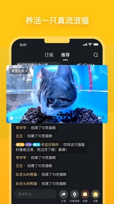 安卓哈啰街猫软件下载