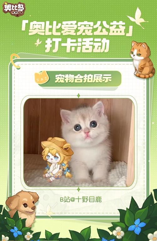 奥比爱宠公益进行中！宠物萌趣ar合影、创意填色作品分享展示