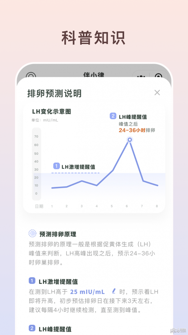 伴小律下载