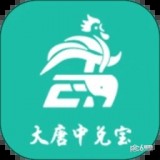 中兑宝