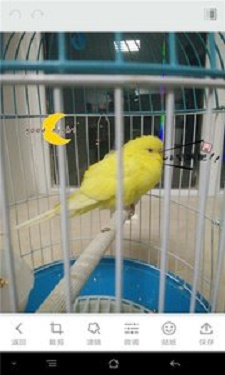 滤镜萌萌相机app下载