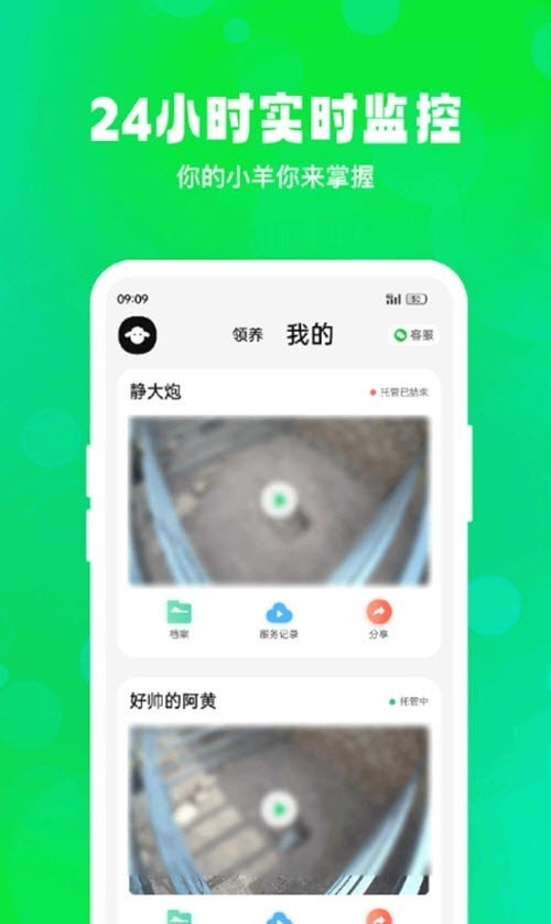飞扣牧场