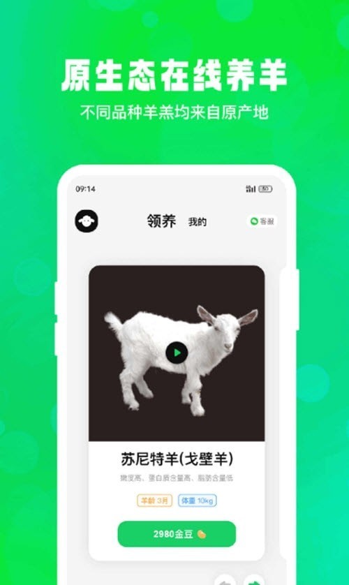 安卓飞扣牧场app